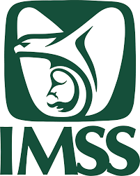 nss imss